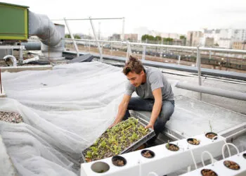 Как привлечь молодёжь в сельское хозяйство